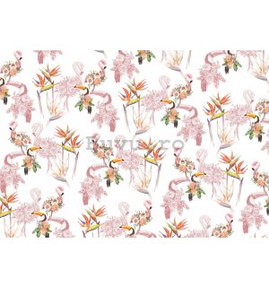 Fototapet vlies: Flamingo și tucani - 368x254 cm