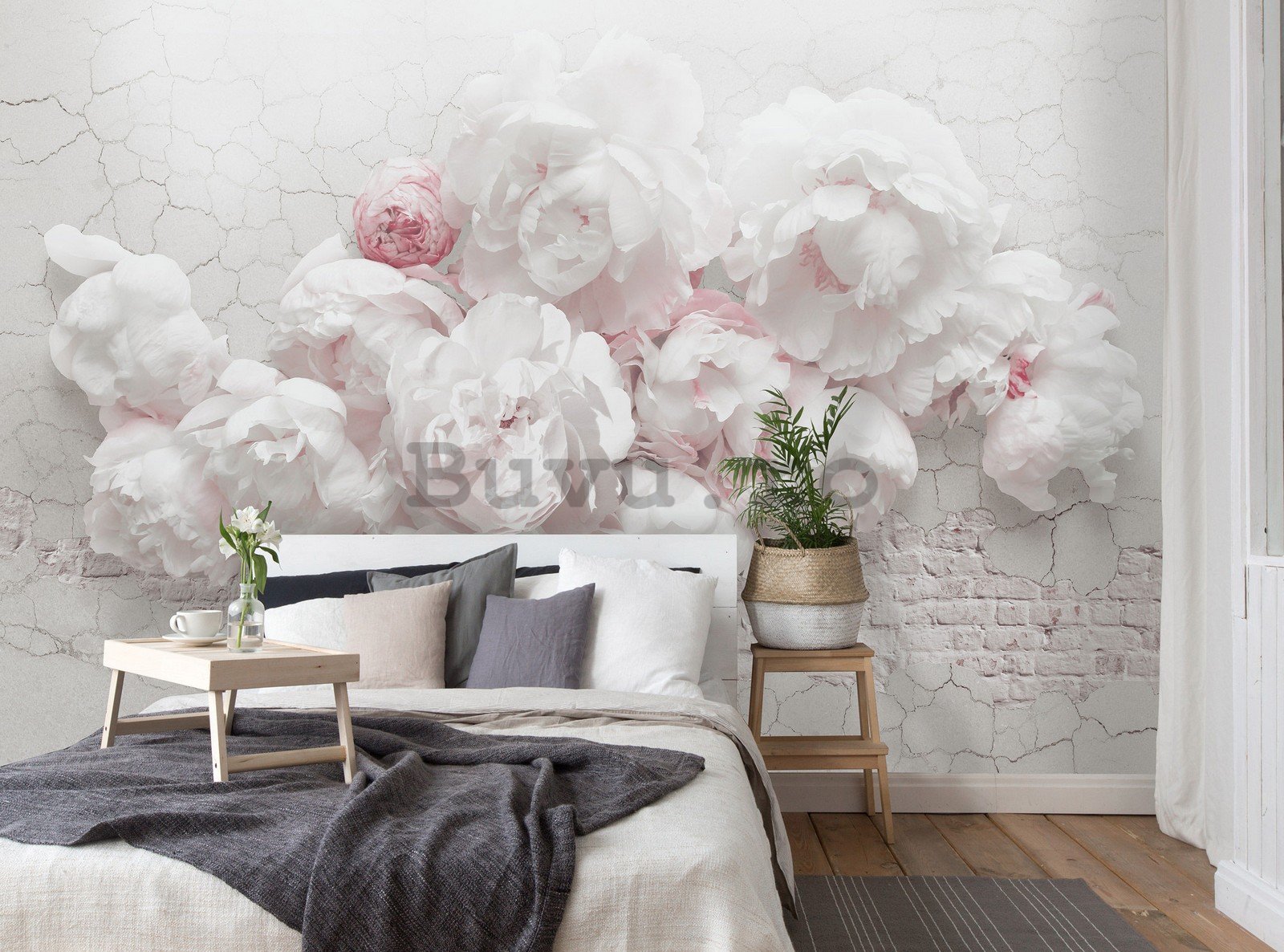 Fototapet vlies: Trandafiri albi pe perete - 368x254 cm