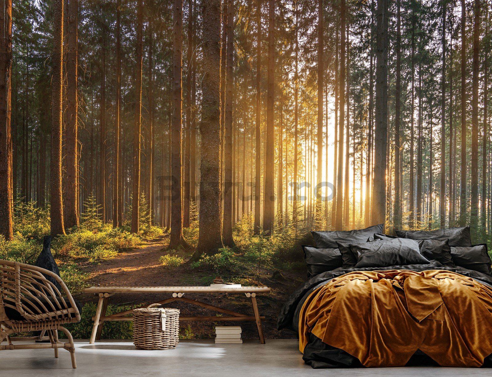 Fototapet vlies: Apus de soare în pădure (2) - 368x254 cm