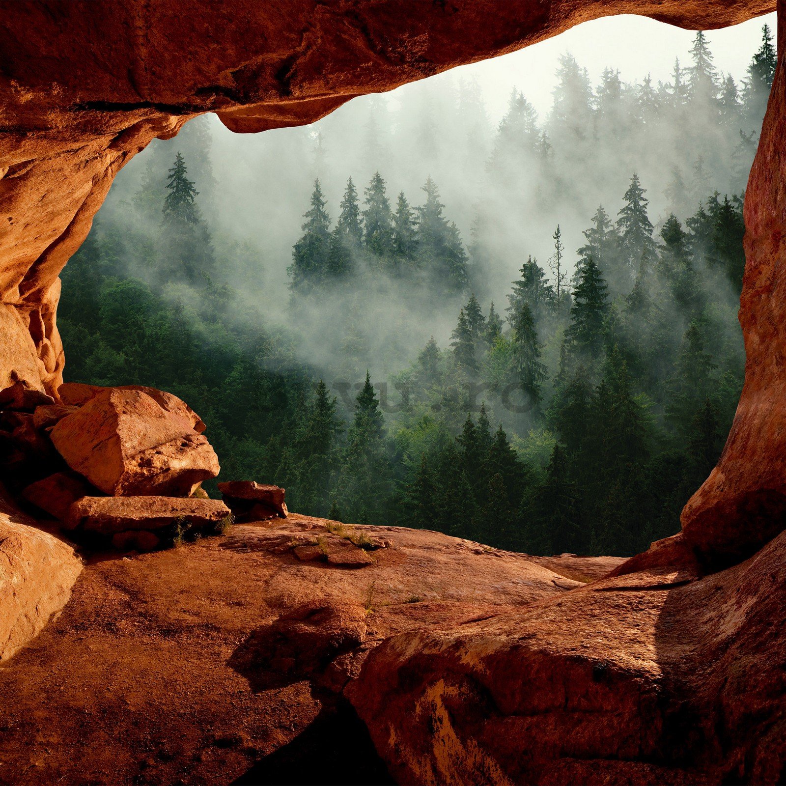 Fototapet vlies: O peșteră lângă pădure - 368x254 cm