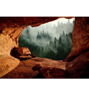 Fototapet vlies: O peșteră lângă pădure - 368x254 cm