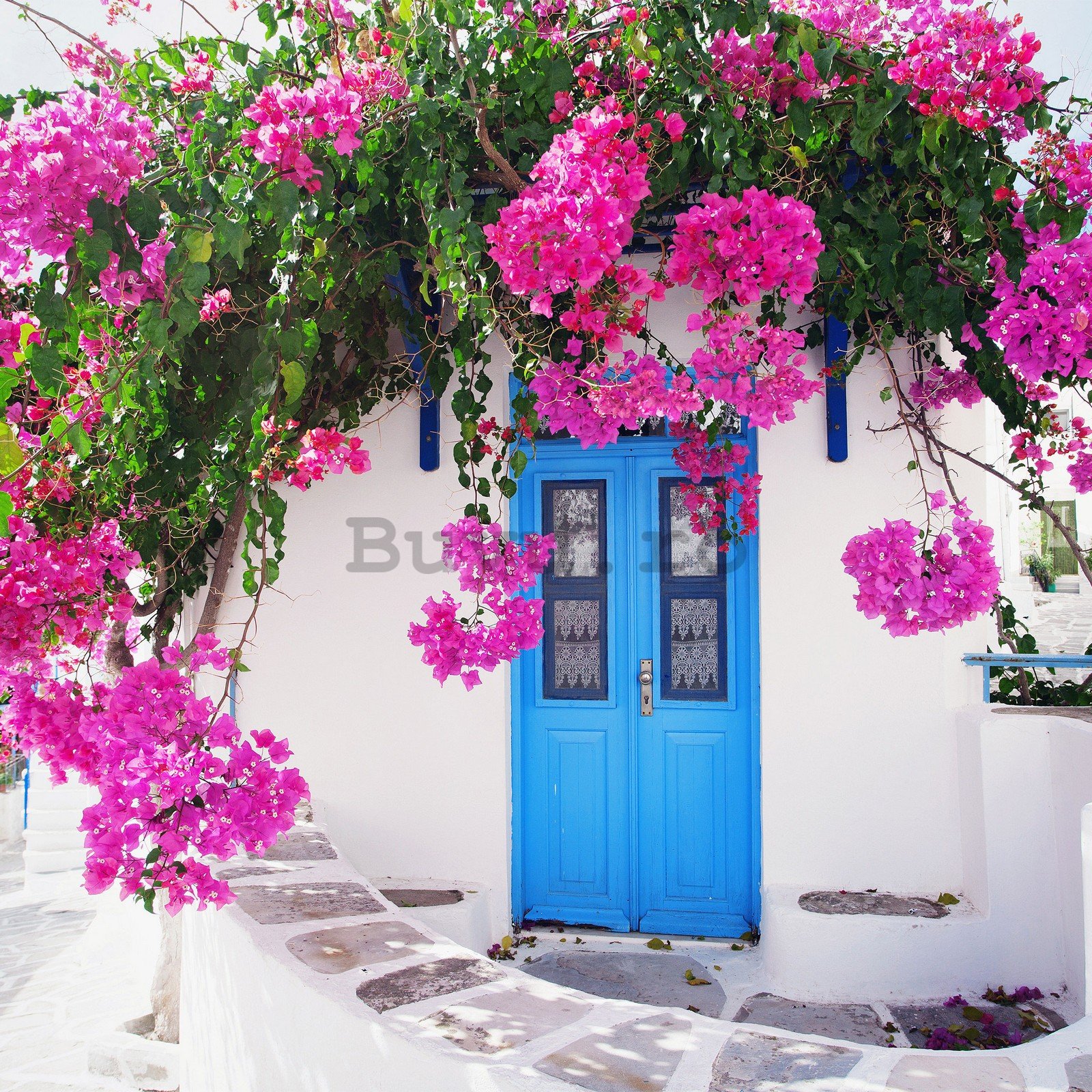 Fototapet vlies: Flori de stradă grecească (1) - 152,5x104 cm