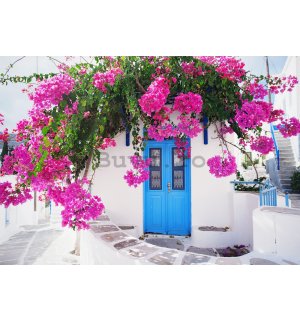 Fototapet vlies: Flori de stradă grecească (1) - 416x254 cm