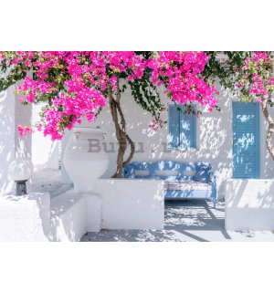 Fototapet vlies: Flori de stradă grecească (2) - 416x254 cm