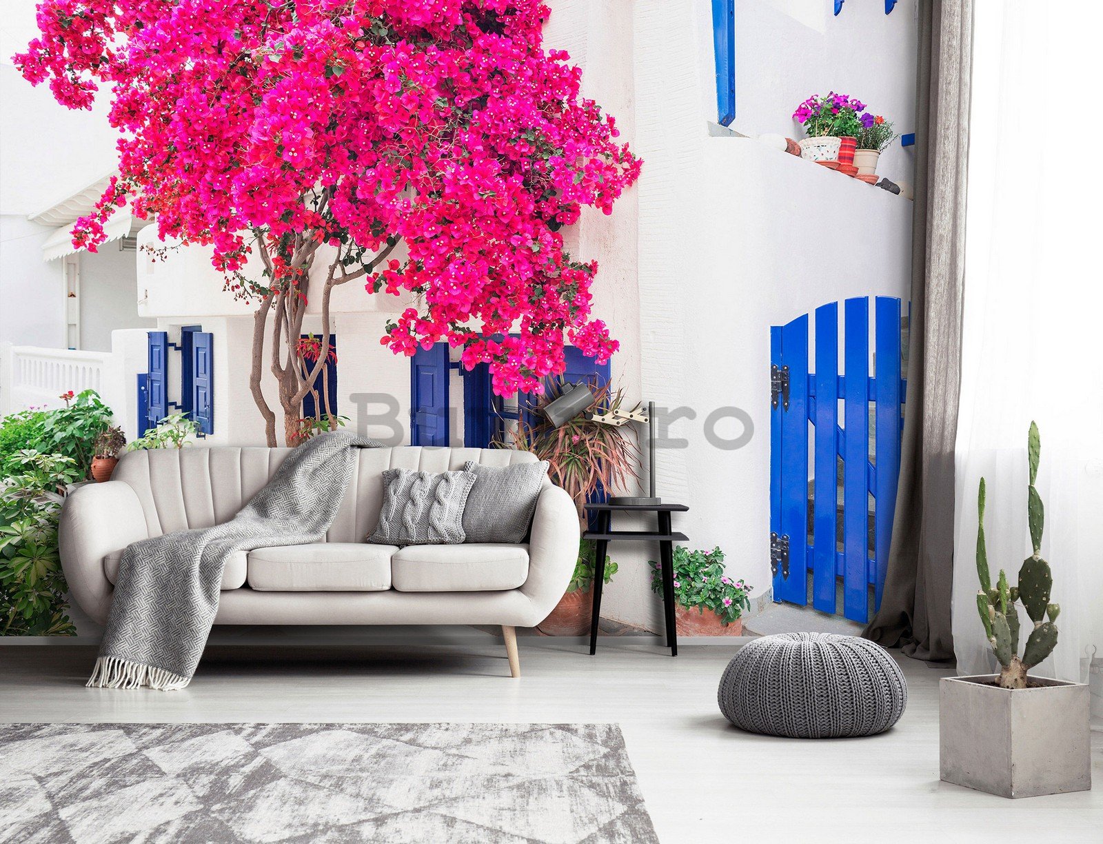 Fototapet vlies: Flori de stradă grecească (3) - 416x254 cm
