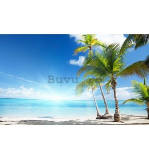 Fototapet vlies: Palmieri pe plajă - 416x254 cm