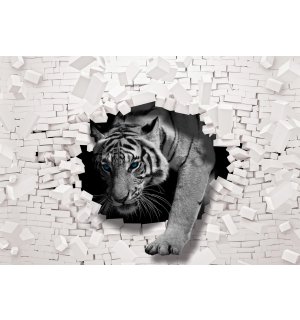 Fototapet vlies: Tigru de pe perete - 254x184 cm