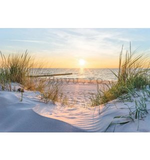 Fototapet vlies: Plaja baltică - 368x254 cm
