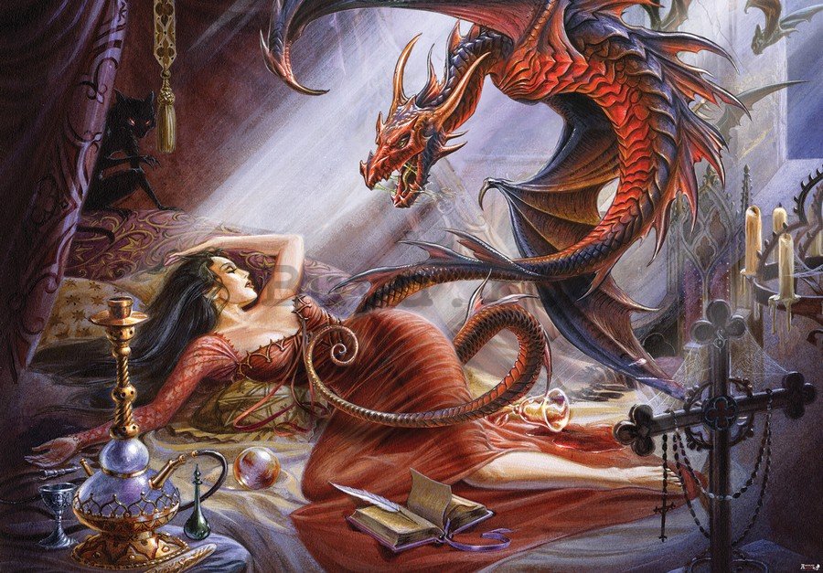 Fototapet vlies: Beauty and Dragon - 416x254 cm