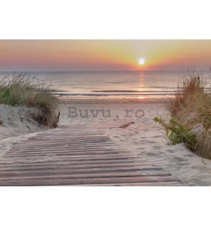 Fototapet vlies: Acces la plajă - 416x254 cm