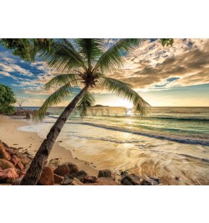 Fototapet vlies: Paradis tropic (2) - 368x254 cm