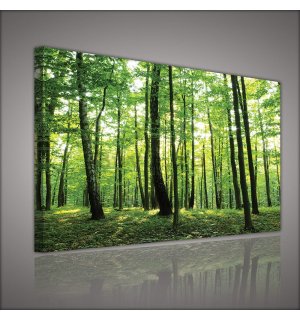 Tablou canvas: Pădure (2) - 75x100 cm