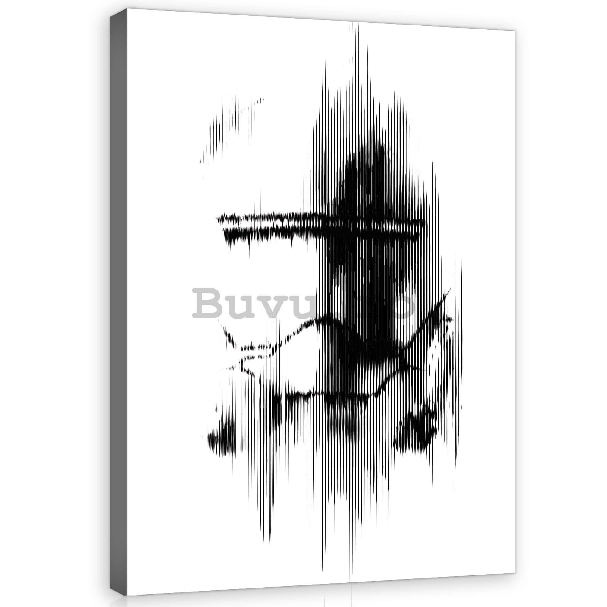 Tablou canvas: Star Wars First Order Jet Trooper - 75x100 cm