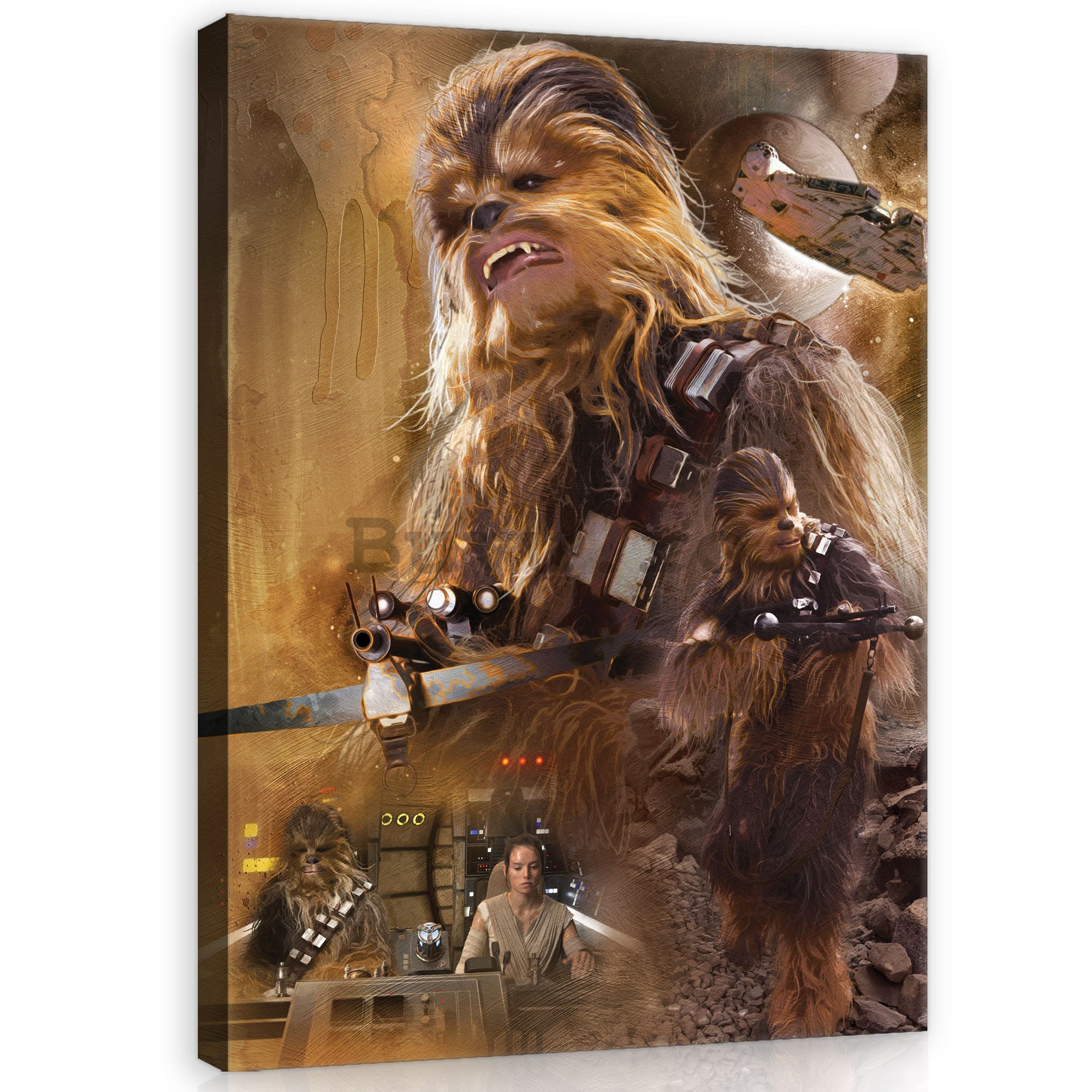 Tablou canvas: Chewbacca - 75x100 cm