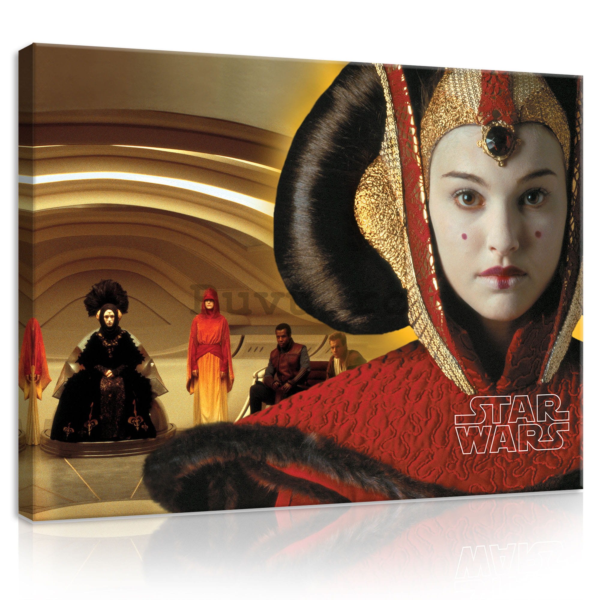 Tablou canvas: Star Wars (Prițesa Amidala) - 100x75 cm