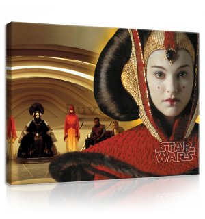 Tablou canvas: Star Wars (Prițesa Amidala) - 100x75 cm