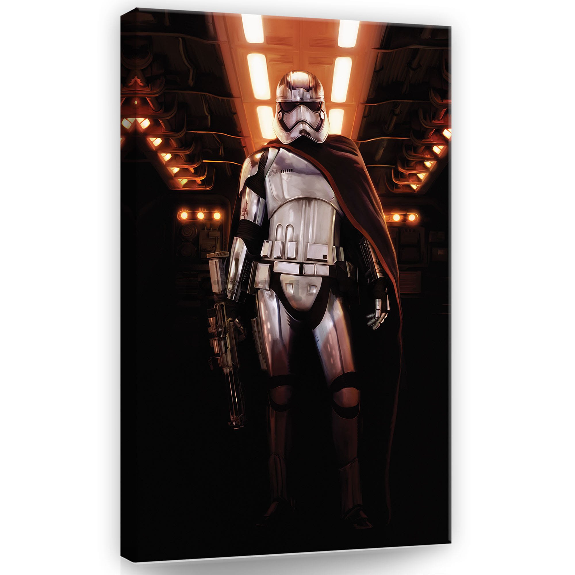 Tablou canvas: Star Wars Captain Phasma (1) - 40x60 cm