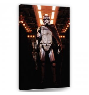 Tablou canvas: Star Wars Captain Phasma (1) - 40x60 cm