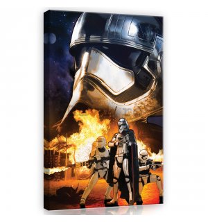 Tablou canvas: Star Wars Captain Phasma - 40x60 cm