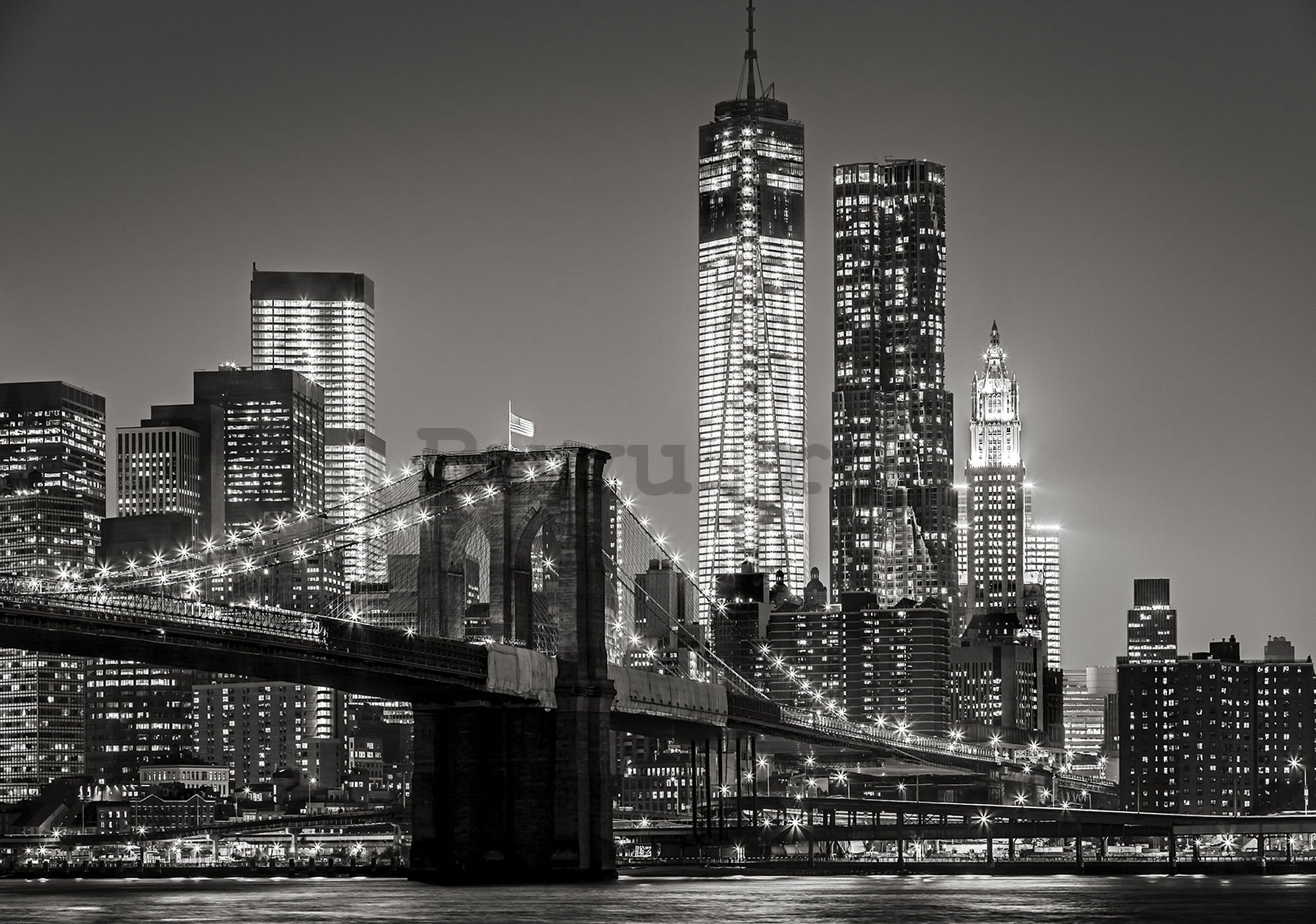 Fototapet vlies: Brooklyn Bridge (4) - 460x300 cm
