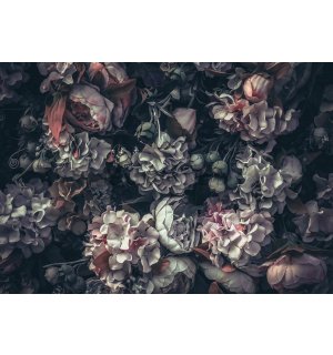 Fototapet vlies: Combinație de flori (2) - 460x300 cm