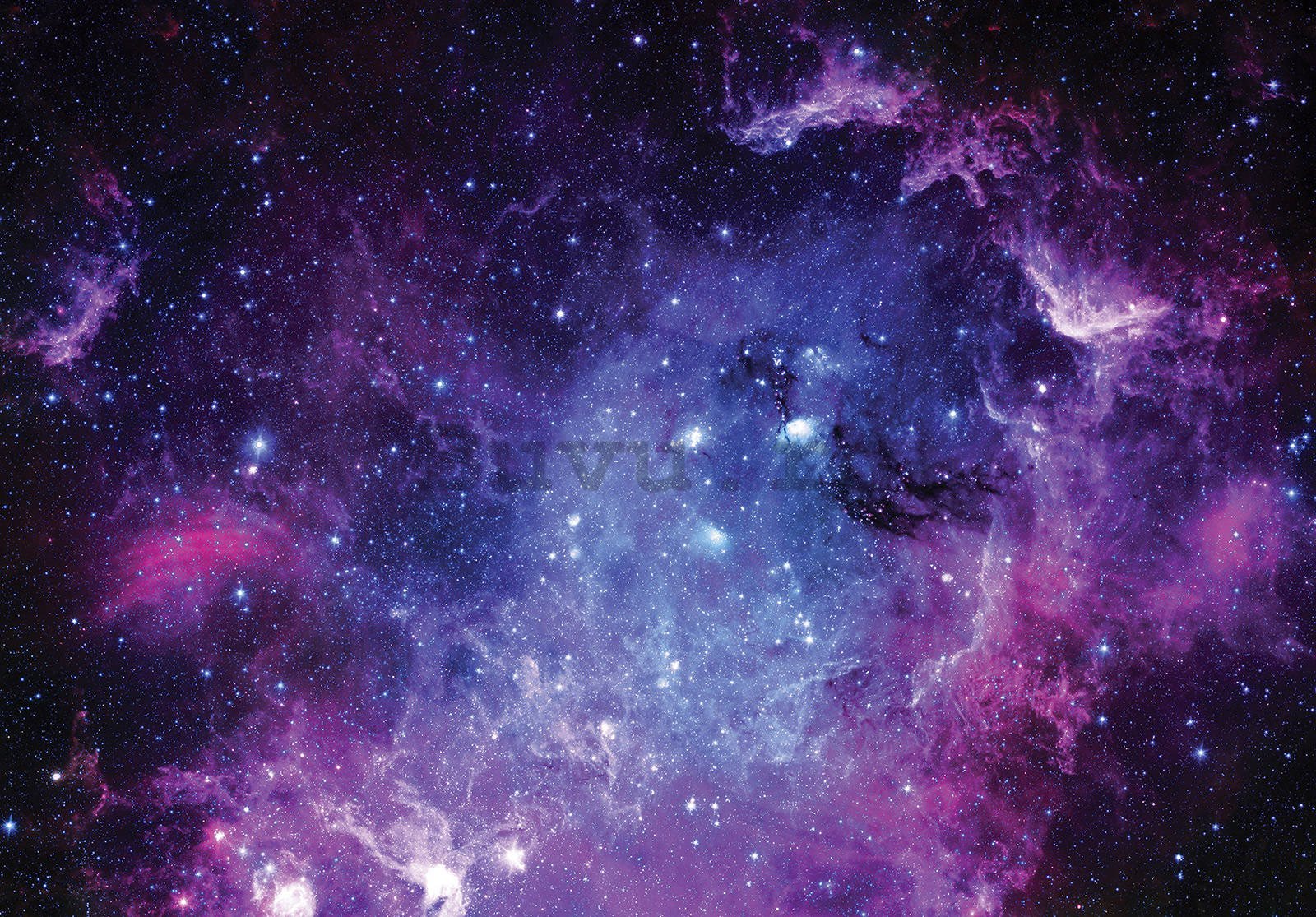Fototapet vlies: Nebuloasă purpurie (1) - 460x300 cm