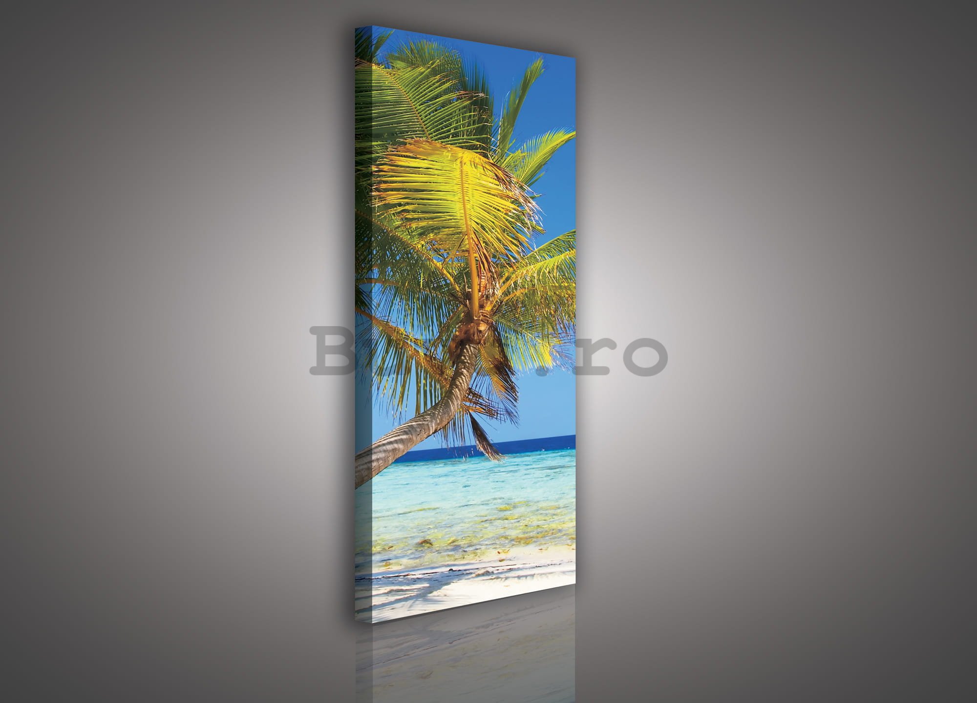 Tablou canvas: Plajă cu palmier - 45x145 cm