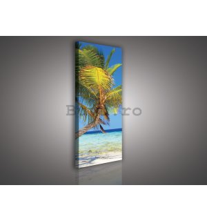 Tablou canvas: Plajă cu palmier - 45x145 cm