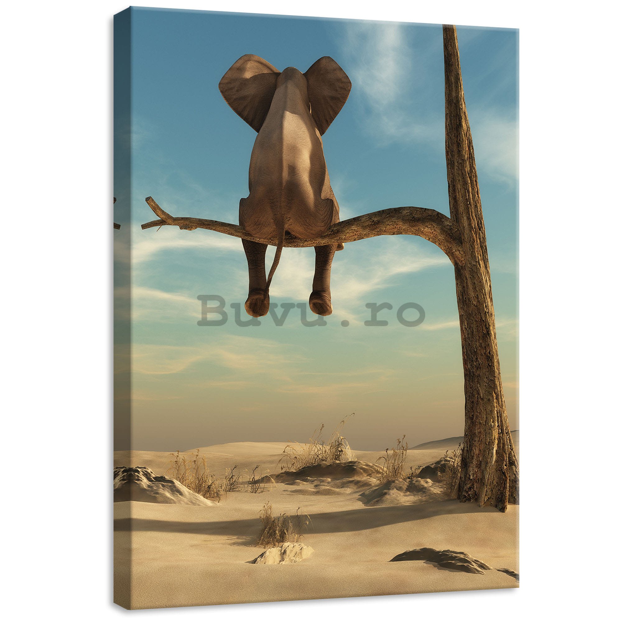 Tablou canvas: Elefant pe copac - 50x70 cm