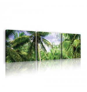 Tablou canvas: Palmieri - set 3 buc 25x25cm