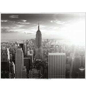 Tablou canvas: Manhattan alb-negru - 100x75 cm