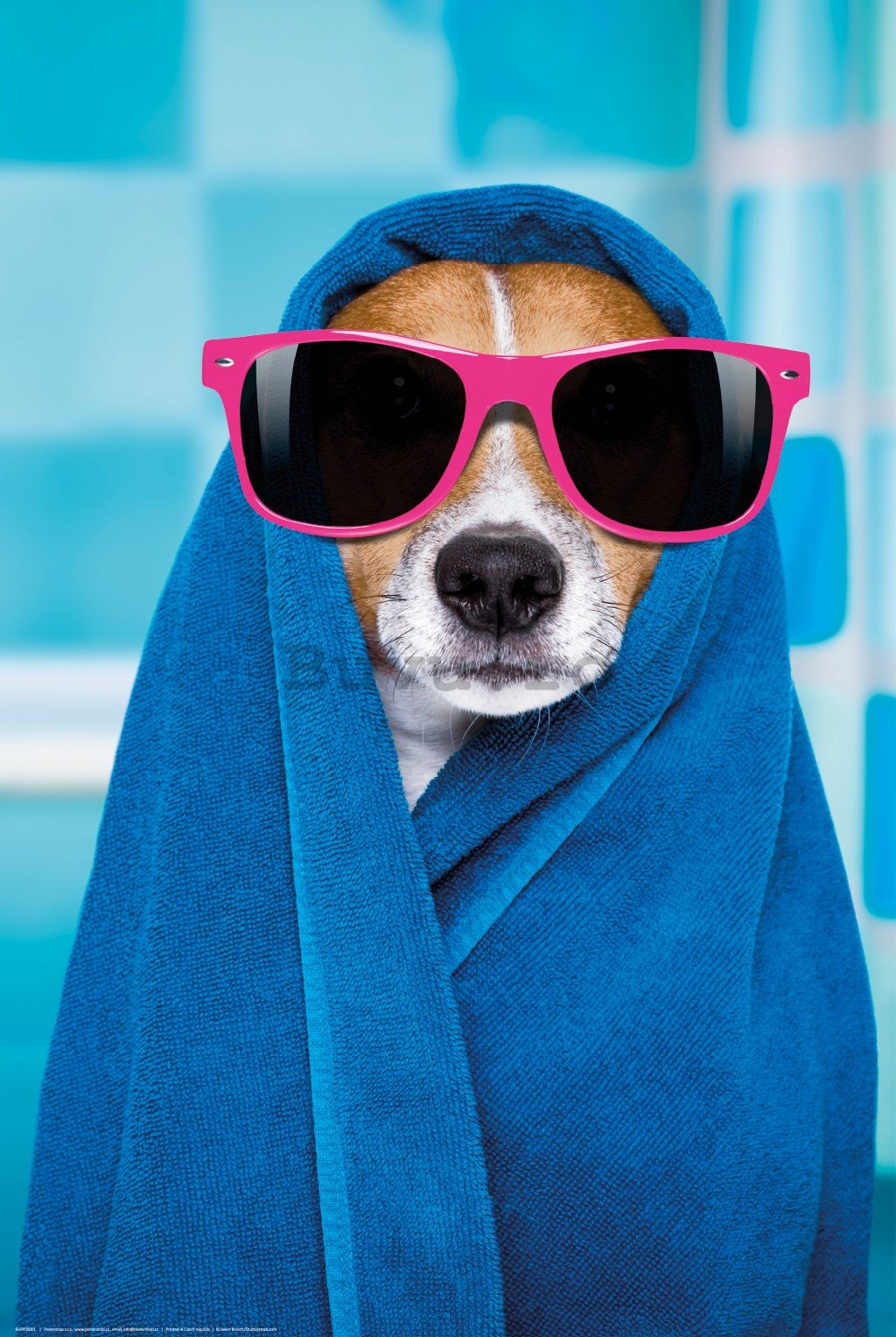Poster: Jack Russell Terrier (wellness)