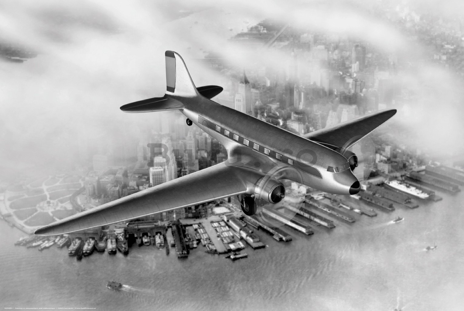 Poster: Avion de transport (Douglas DC-3 Dakota)