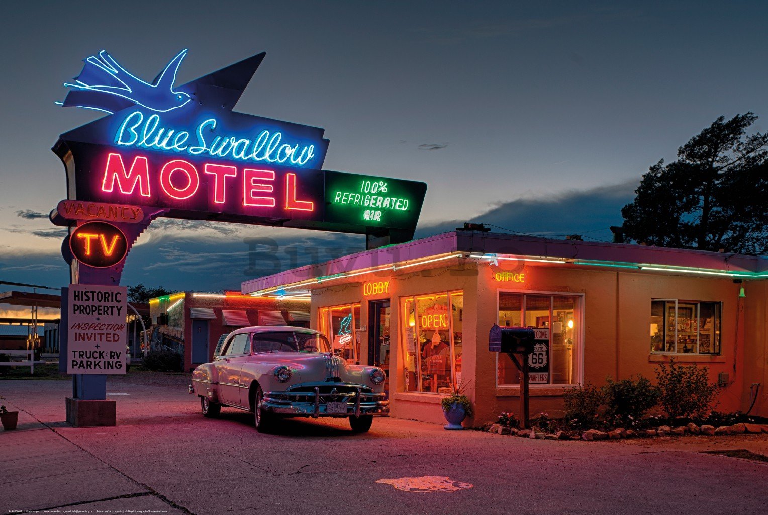 Poster: Blue Swallow Motel
