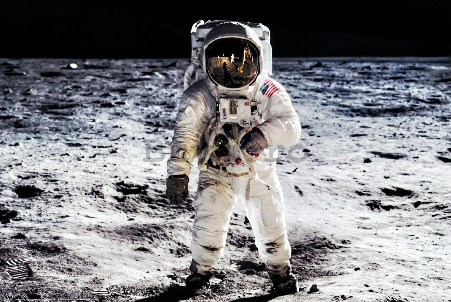 Poster: Aterizarea pe Lună (astronaut)