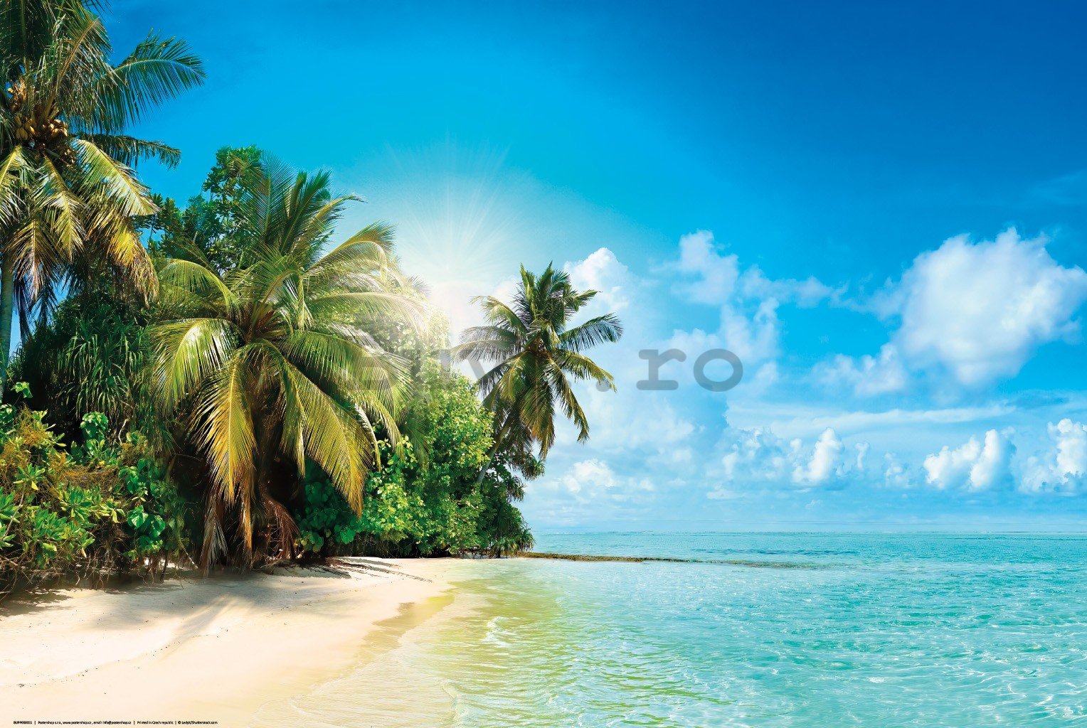 Poster: Plaja tropicală însorită