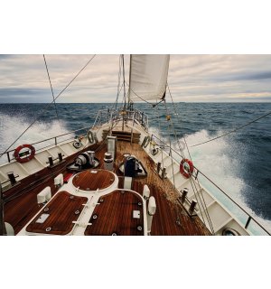 Poster: Navigare prin mări agitate