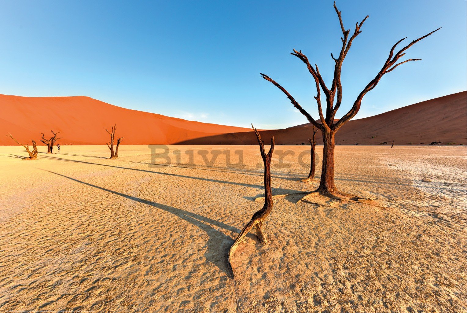 Poster: Deșertul Arid Namib