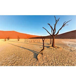 Poster: Deșertul Arid Namib