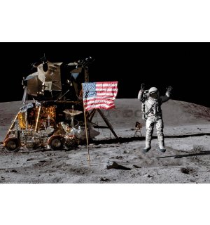 Poster: Aterizare pe Lună (steagul)