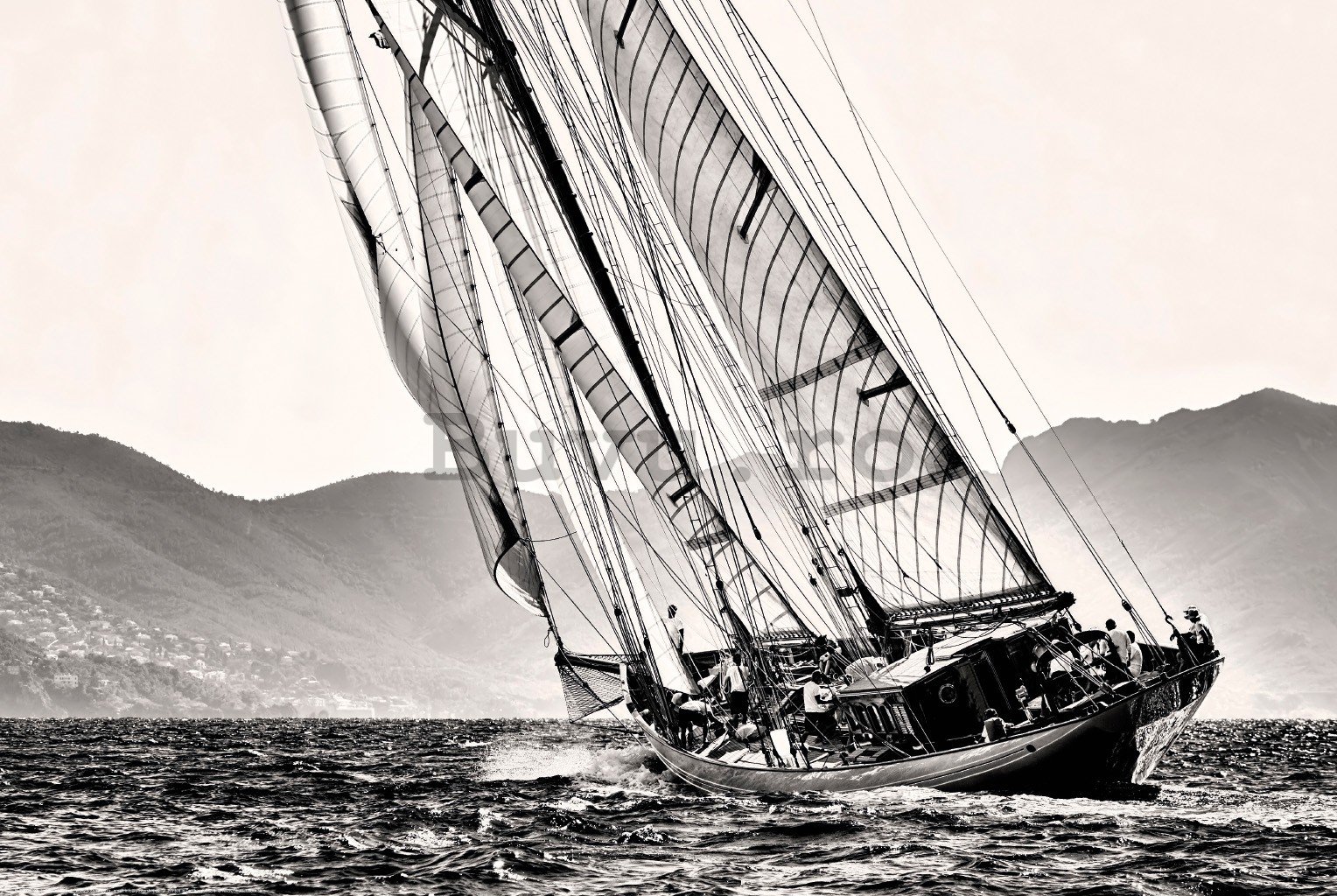 Poster: Yachting (barca cu pânze alb-negru)