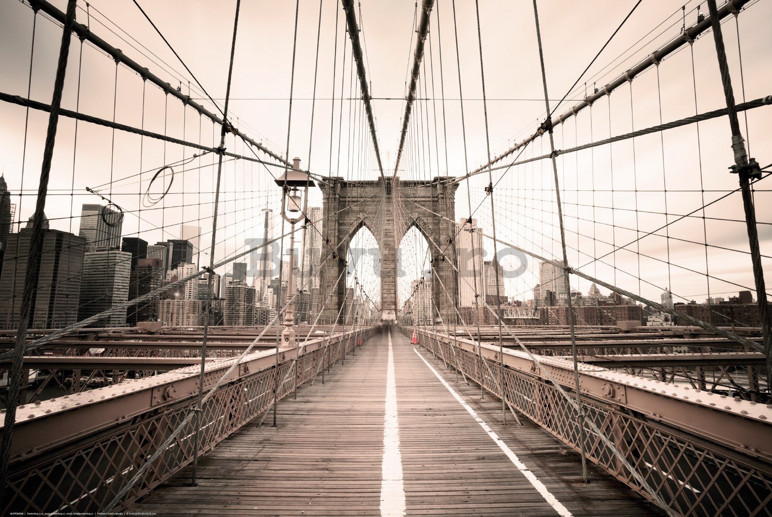Poster: O călătorie peste Podul Brooklyn