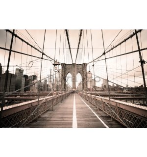 Poster: O călătorie peste Podul Brooklyn