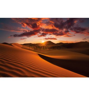 Poster: Apus de soare peste deșert
