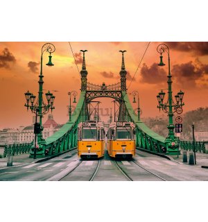 Poster: Tramvaie pe Podul Libertăţii, Budapesta