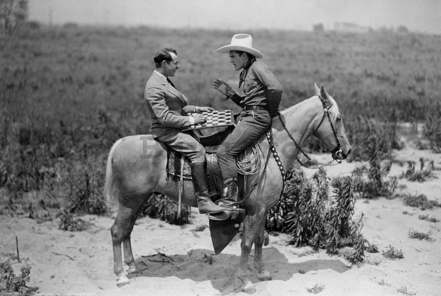 Poster: Cowboy, om de afaceri, șah și cal