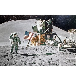 Poster: Aterizarea pe Lună (Apollo 11)