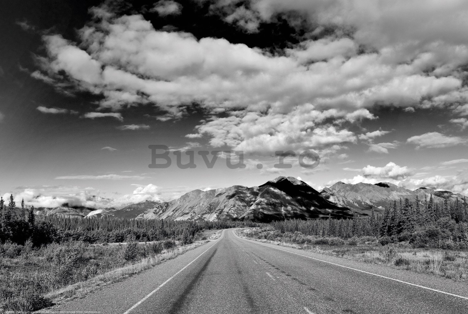 Poster: Alaska Highway (alb-negru)