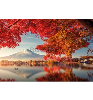 Poster: Lacul Kawaguchiko, Muntele Fuji