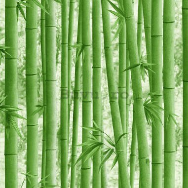 Tapete de vinil bambus